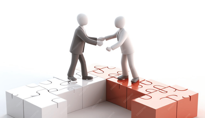 White Label Partnership Program